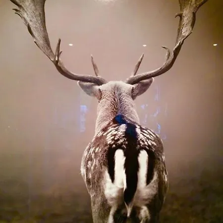 Panoramablick Mit Sauna Apartament *