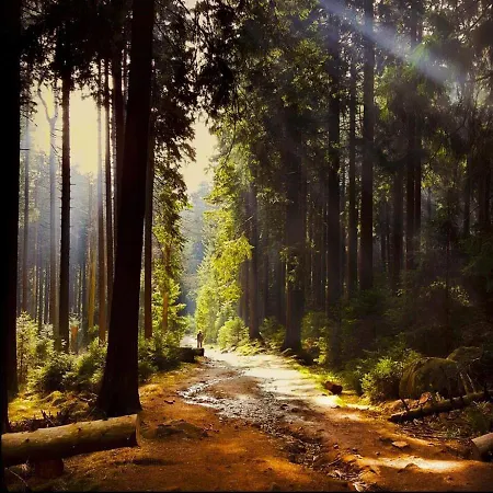 Apartament Panoramablick Mit Sauna