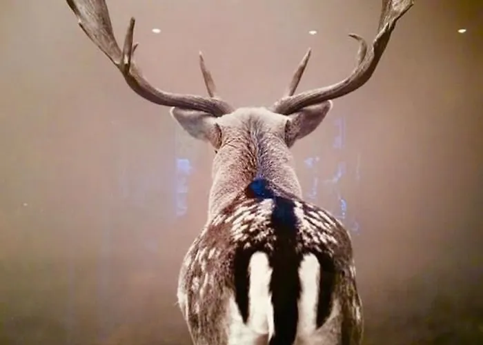 Panoramablick Mit Sauna Daire *