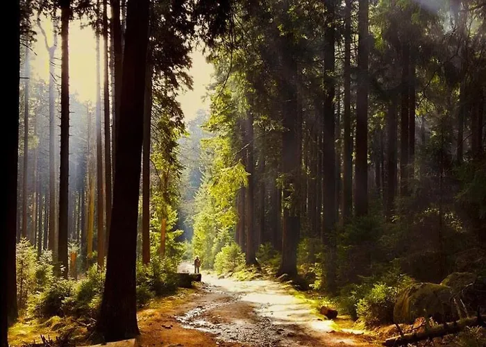 Daire Panoramablick Mit Sauna